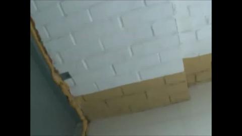 27261