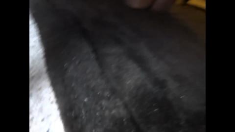 33593