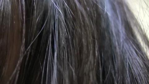 24463