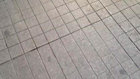 12744