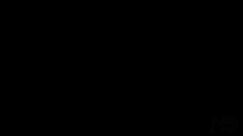 18443