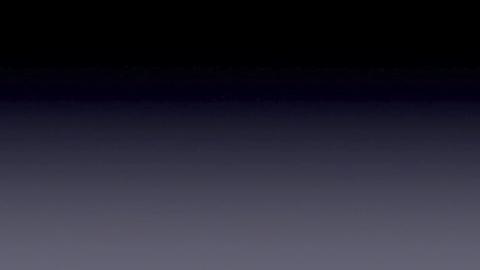 41006