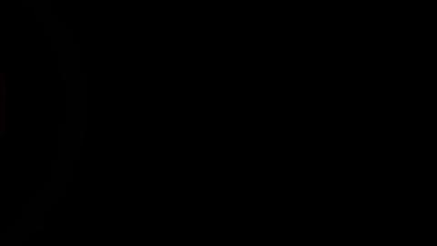 18446